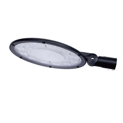 100W Led vrtno svjetlo