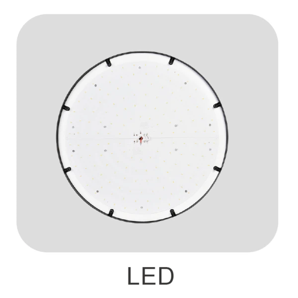 Solar Lights For Yard
